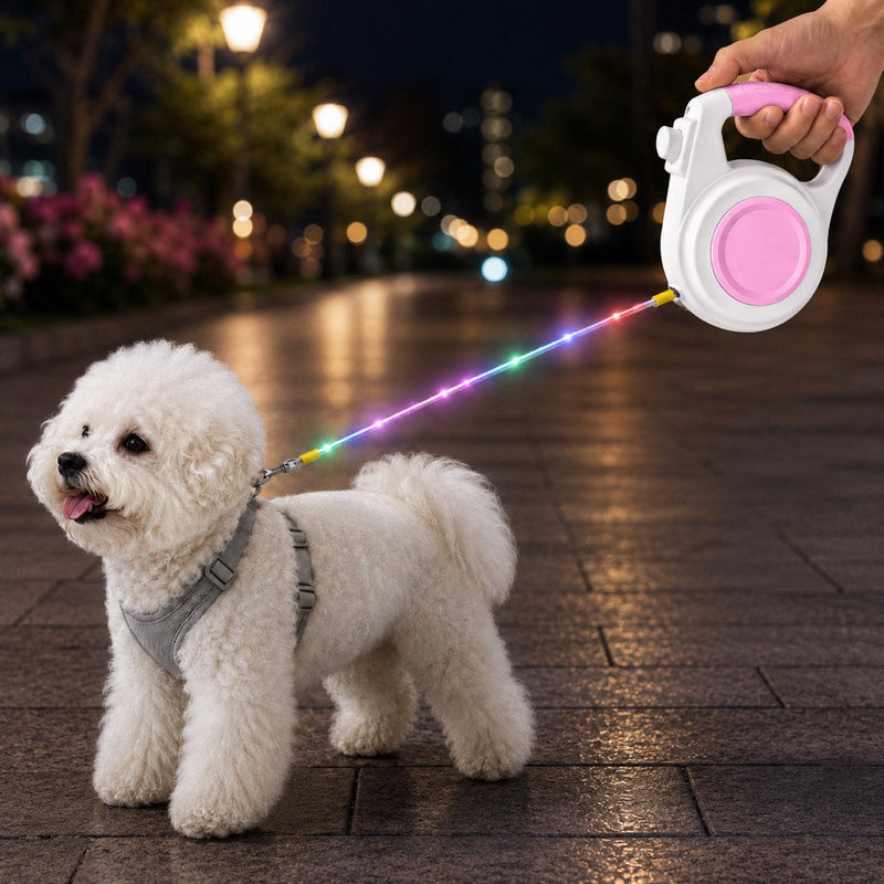 Dog Walking Gear
