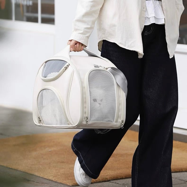 Cat Travel Gear