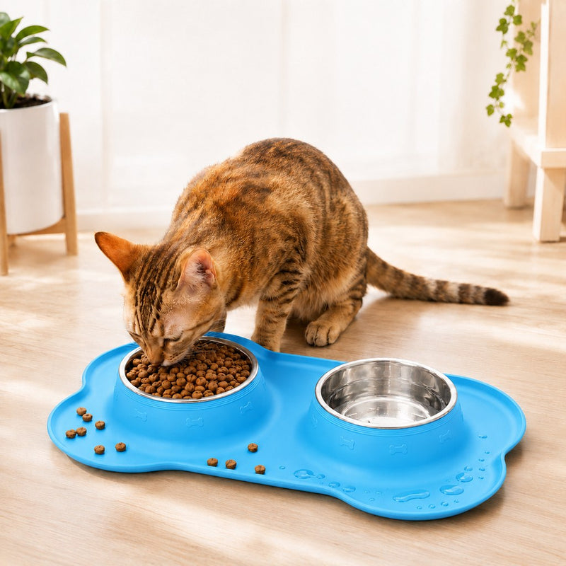 Cat Feeding & Watering Supplies
