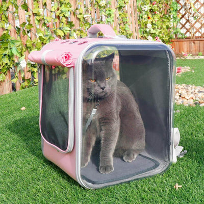 Komavic Transparent Cat Carrier Backpack