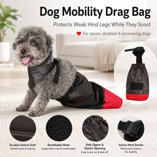 Paws in Awe Dog Mobility Drag Bag for Indoor Scooting - Hind Leg Protection for Senior & Disabled Dogs