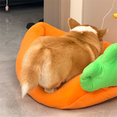 Komavic Carrot Pet Bed for Cats & Dogs