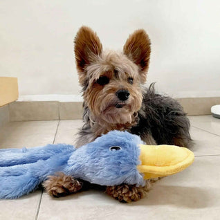 Komavic Interactive Squeaky Duck Dog Toy