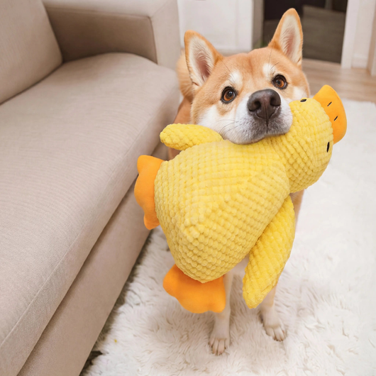 Komavic Quacking Duck Plush Dog Toy