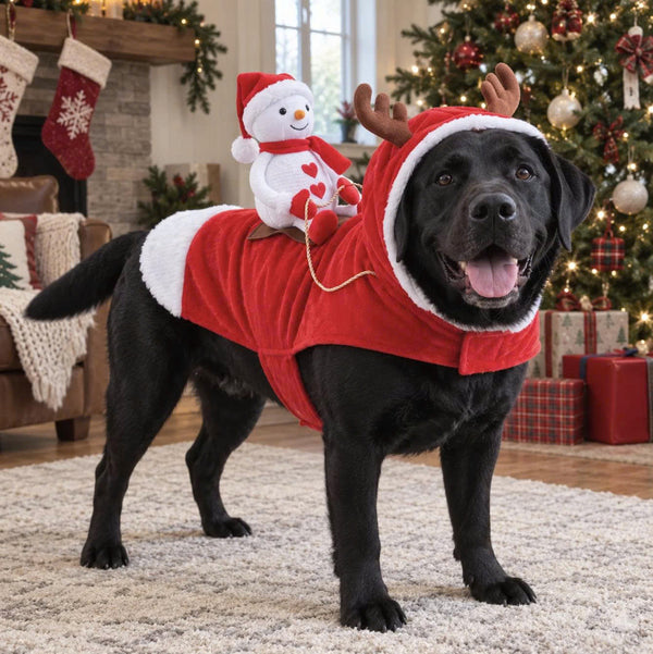 Komavic Santa Rider Christmas Dog Costume