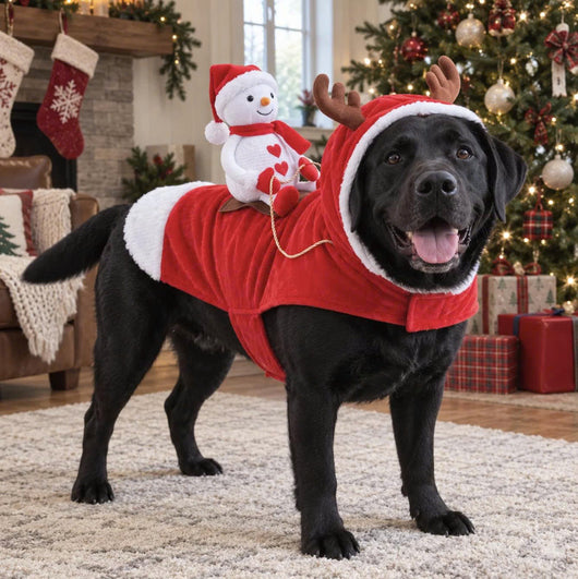Komavic Santa Rider Christmas Dog Costume