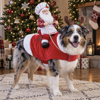 Komavic Santa Rider Christmas Dog Costume