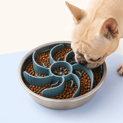 Slow Feeder Insert with Spiral Design & Suction Cups