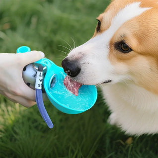 Portable Dog Water Bottle with Foldable Bowl