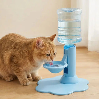 Gravity Pet Water Dispenser
