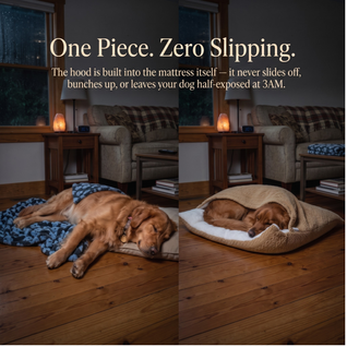 Komavic Cozy Sleepy Burrow Dog Bed With Removable Cover