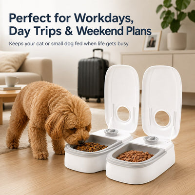 48-Hour Timed Pet Feeder for Cats & Small Dogs - Scheduled Meals for Workdays, Short Trips & Busy Pet Parents