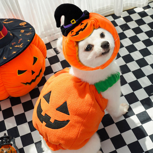 Komavic Puptailor Halloween Pumpkin Pet Costume