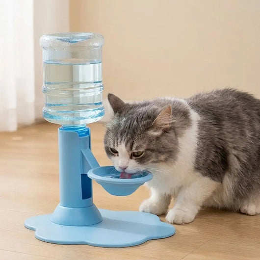 Gravity Pet Water Dispenser