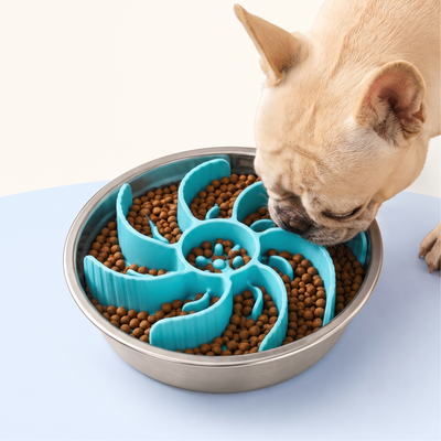 Slow Feeder Insert with Spiral Design & Suction Cups