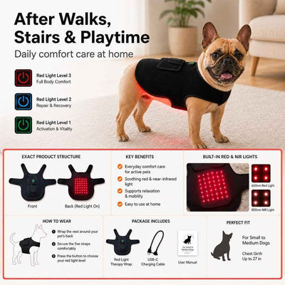 Paws in Awe FrenchieGlow Red Light Comfort Vest for French Bulldogs - USB-Powered or Built-In Battery At-Home Back, Belly & Hip Comfort After Walks, Stairs & Playtime
