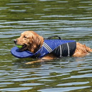 Komavic Dog Life Jacket
