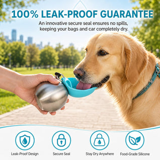 Portable Dog Water Bottle with Foldable Bowl