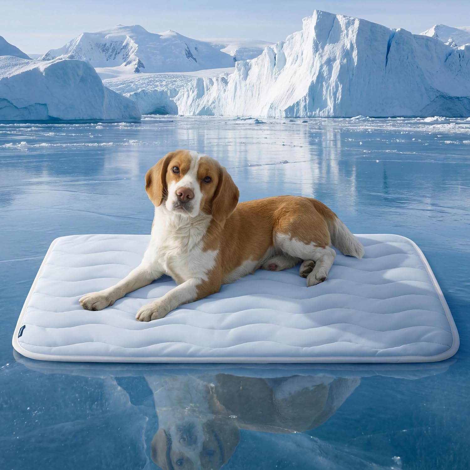 Cooling Mat for Large Dogs, Breathable Cooling Crate Pad Indoor for Pet with Chill Cool Fiber as Cooling Topper