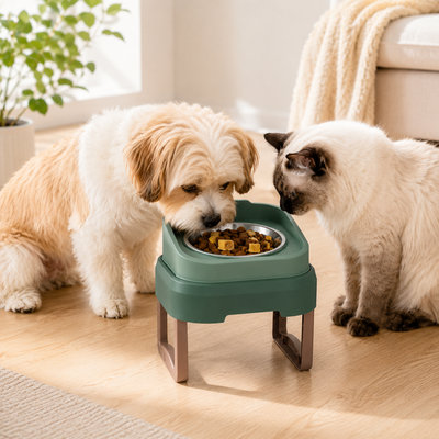 Elevated Slow Feeder Pet Bowl