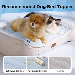 Ice Cooling Mat for Pets - Instant Relief from Summer Heat