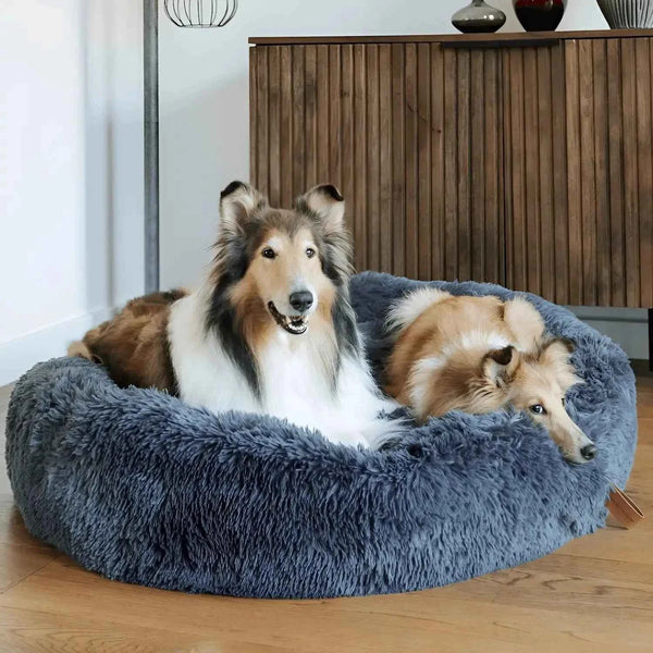 Calming Orthopedic Bed - Anxiety Relieving Dog Bed