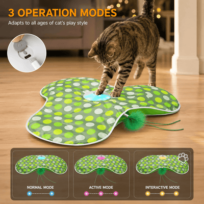 Interactive Hide & Seek Cat Toy with Moving Feather