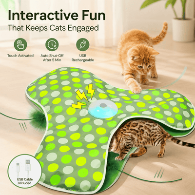 Pawsome Playtime Pro (3-pointed star)