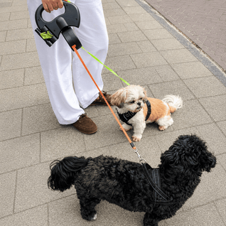 Komavic Dual Retractable Dog Leash for 2 Dogs