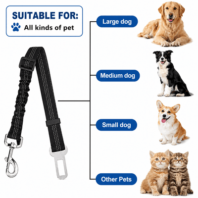 Komavic Shock Absorbing Bungee Dog Seat Belt