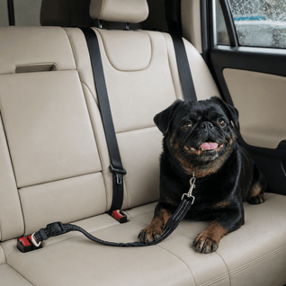Komavic Shock Absorbing Bungee Dog Seat Belt