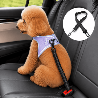 Komavic Shock Absorbing Bungee Dog Seat Belt