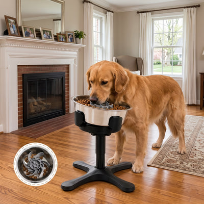 Large Dog Adjustable Elevated Tilted Dog Bowl