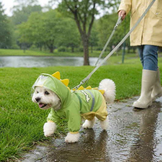 Dinosaur Dog Raincoat with Clear Visor Hood – Full-Body Waterproof Pet Suit for Rain, Mud & Outdoor Walks