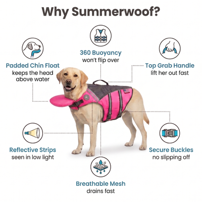 Dog Life Jacket | Adjustable Swim Vest with Bright Colors for Safety in Water