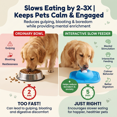 2-in-1 Interactive Rolling Lick Bowl – Slow Feeder & Enrichment Toy for Dogs & Cats