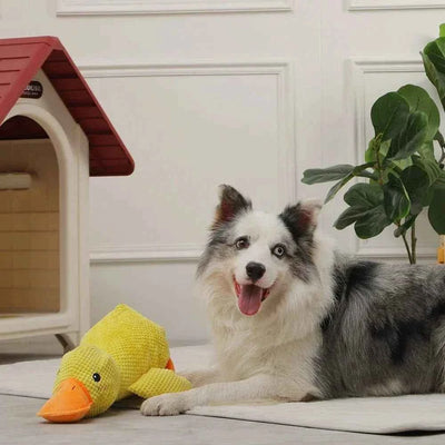 Calming Duck Toy
