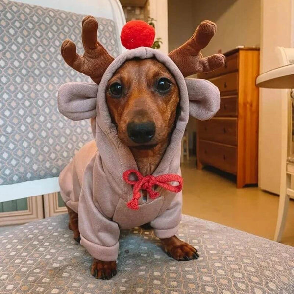 Komavic Reindeer Dachshund Hoodie