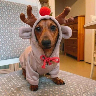 Komavic Reindeer Dachshund Xmas Hoodie | Fleece-Lined Dog Christmas Hoodie