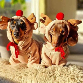 Komavic Reindeer Dachshund Xmas Hoodie | Fleece-Lined Dog Christmas Hoodie