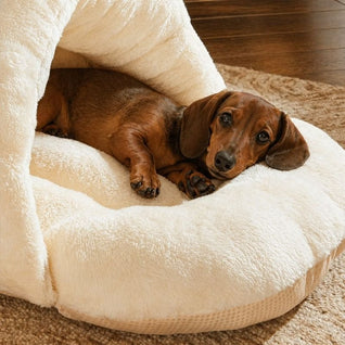Komavic Dachshund Burrow Bed – Cozy Semi-Covered Tunnel Dog Bed with Memory Foam, Brown