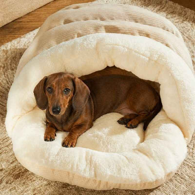 Komavic Dachshund Burrow Bed – Cozy Semi-Covered Tunnel Dog Bed with Memory Foam, Brown