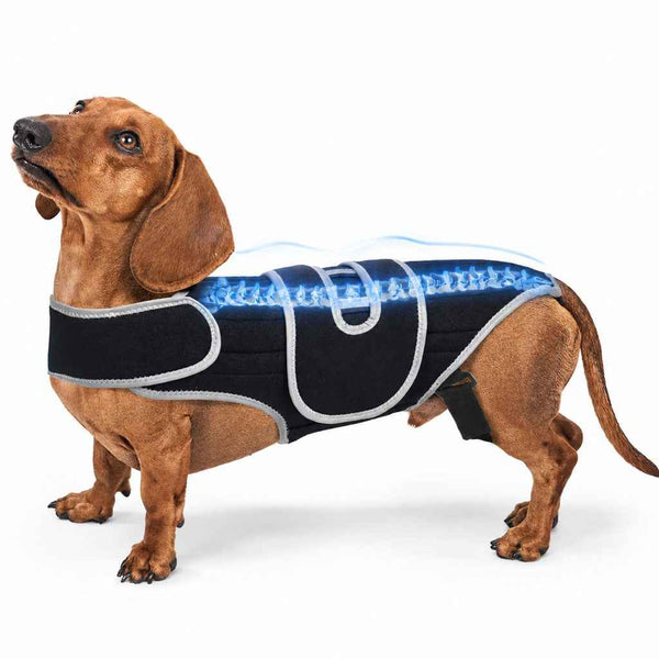 Komavic Dog Back Support Vest for Dachshunds