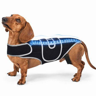 Komavic Dog Back Support Vest for Dachshunds & Senior Dogs | Adjustable Back Brace