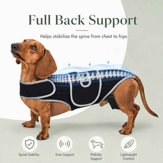 Komavic Dog Back Support Vest for Dachshunds & Senior Dogs | Adjustable Back Brace