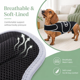 Komavic Dog Back Support Vest for Dachshunds & Senior Dogs | Adjustable Back Brace