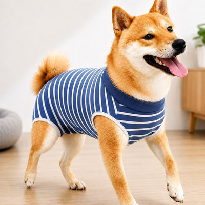 Blue & White Stripe