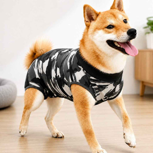 Komavic Dog Post-Surgery Suit