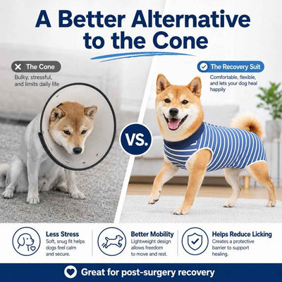Komavic Dog Post-Surgery Suit
