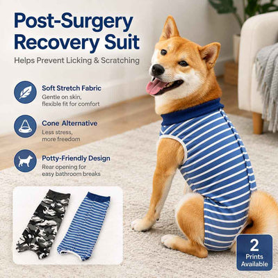 Komavic Dog Post-Surgery Suit